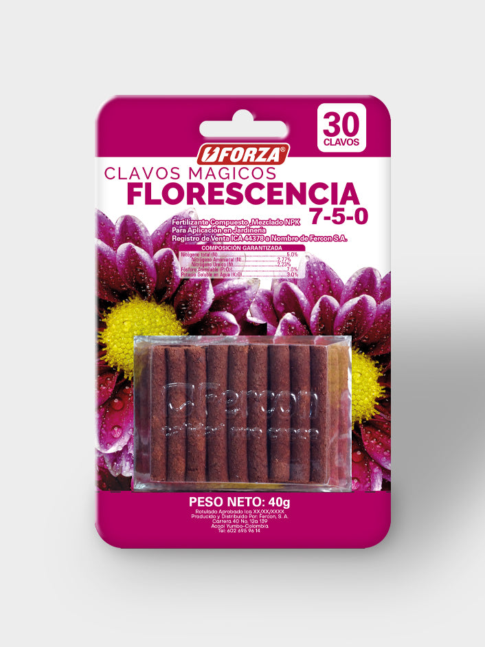 CLAVOS MAGICOS FLOR  X 30