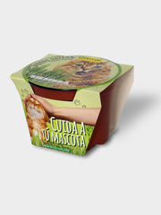 KIT HIERBA PARA GATOS