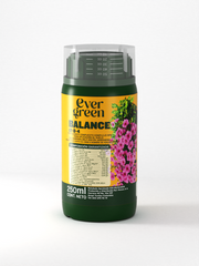 EVERGREEN BALANCE X 250 ML