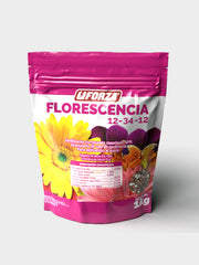 FORZA GRANULADO FLORESCENCIA 12-34-12 X 1 KG