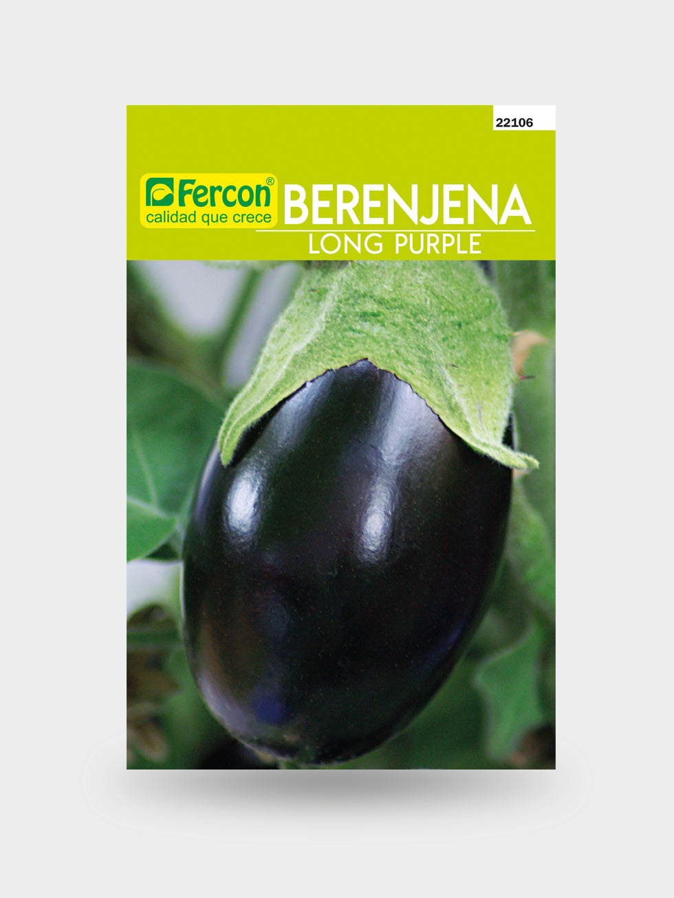 BERENJENA LARGA X 2 G