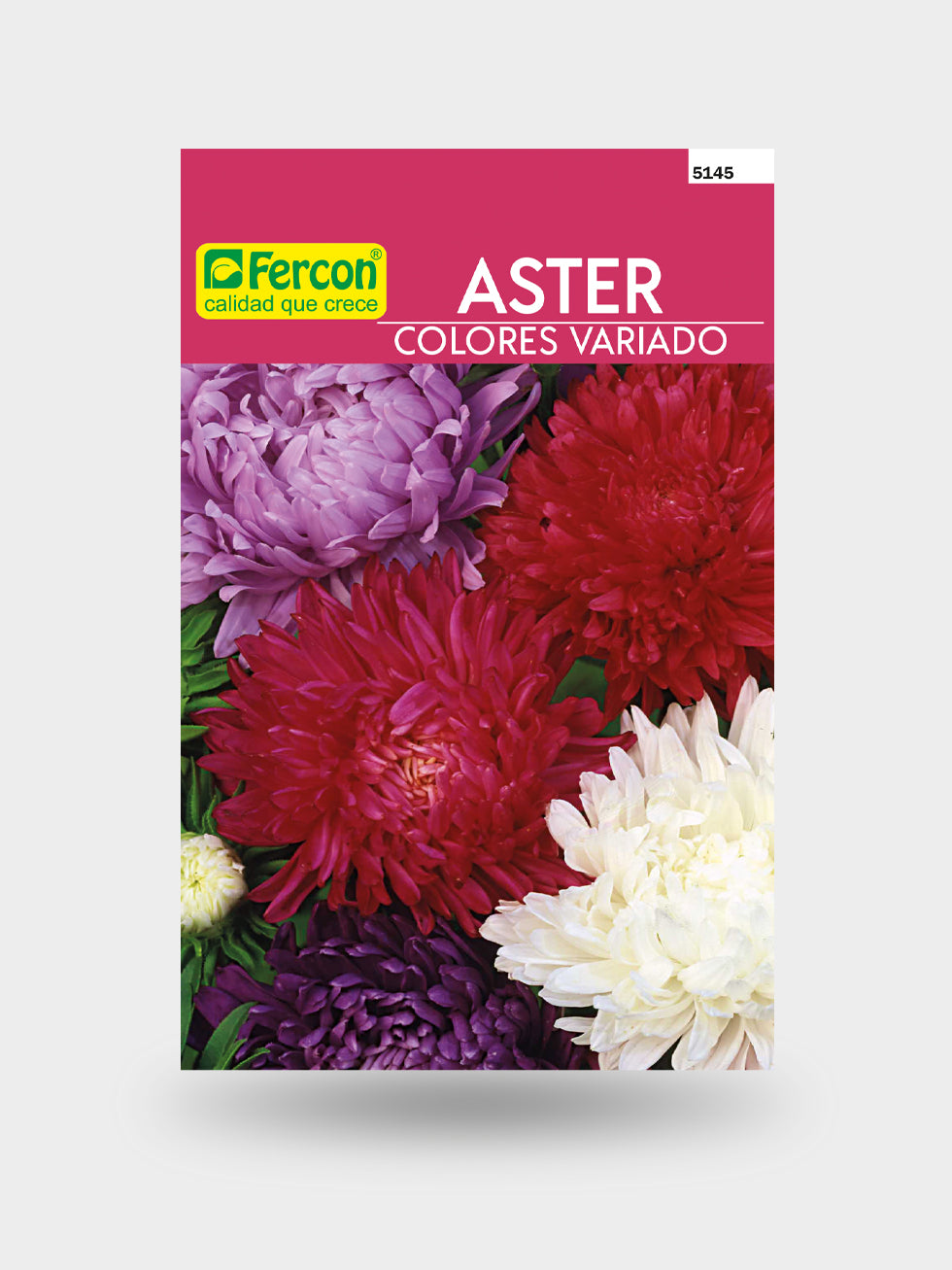 ASTER MIX DE COLORES 5145