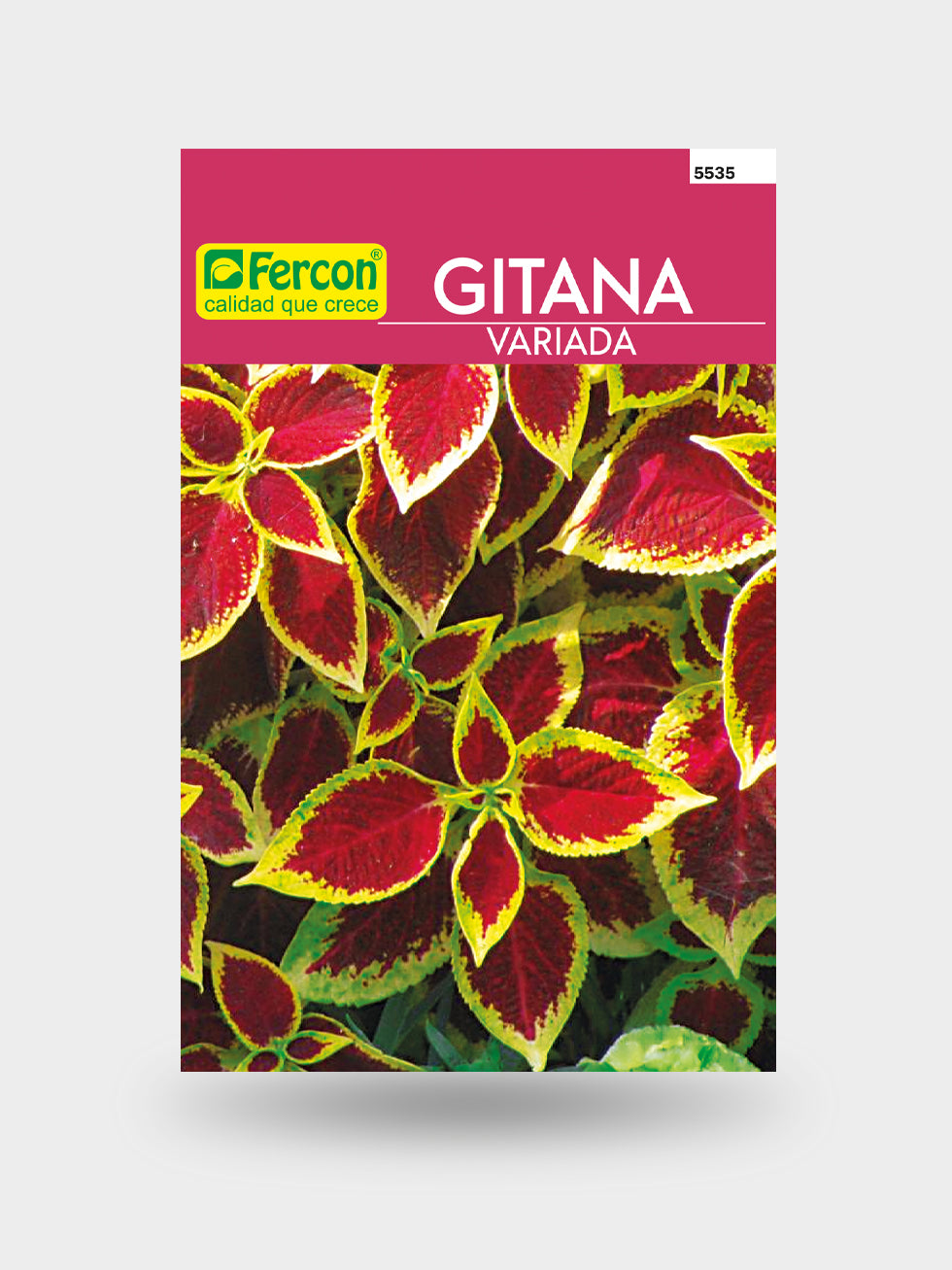 GITANA MEZCLA ARCO IRIS 5535