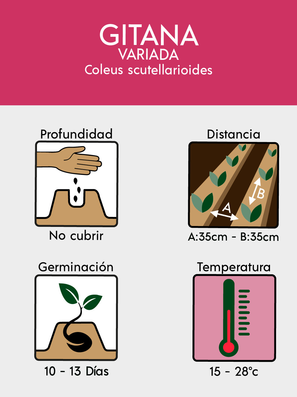 GITANA MEZCLA ARCO IRIS 5535