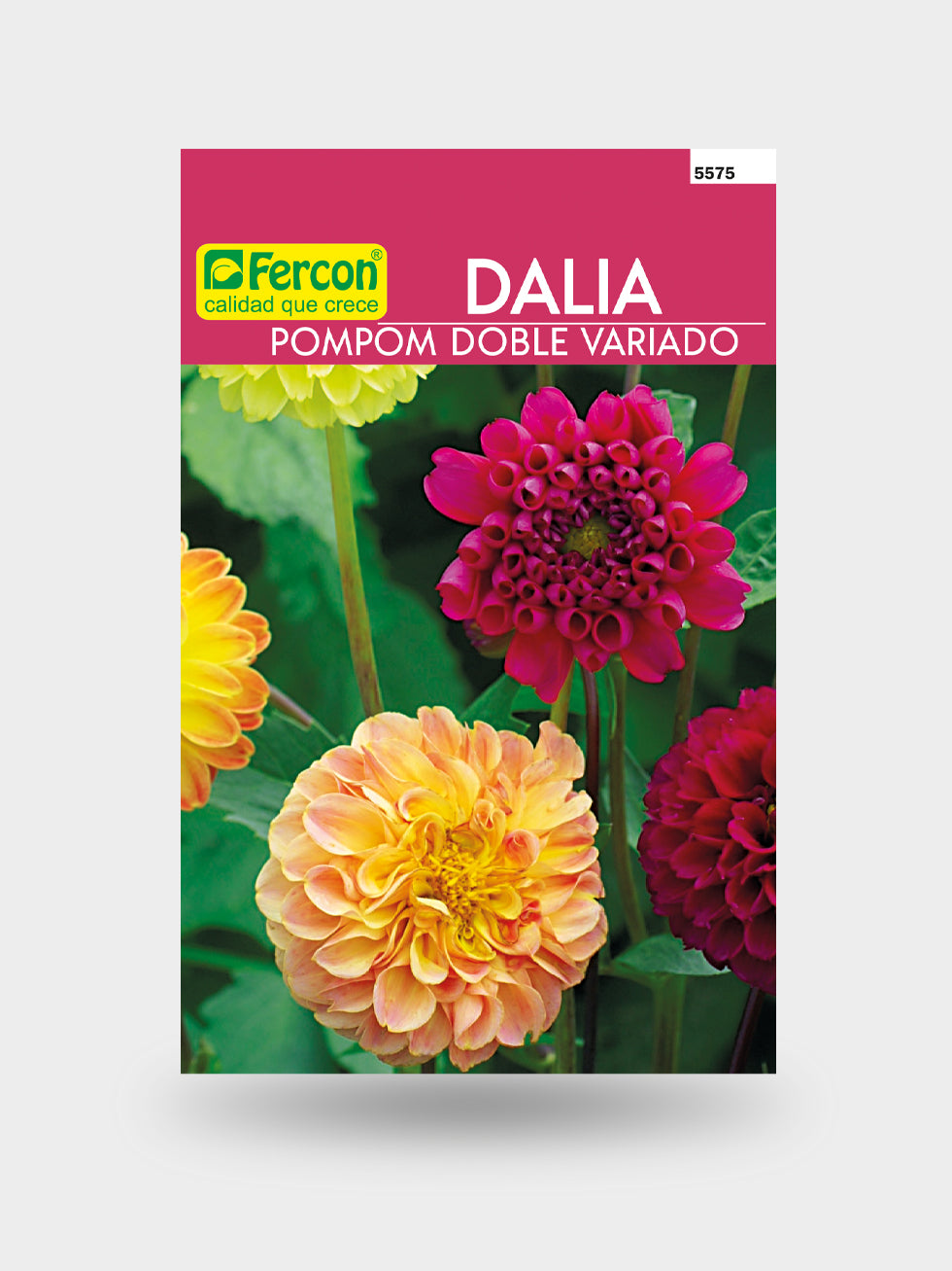 DALIA POMPOM DOBLE MIX 5575