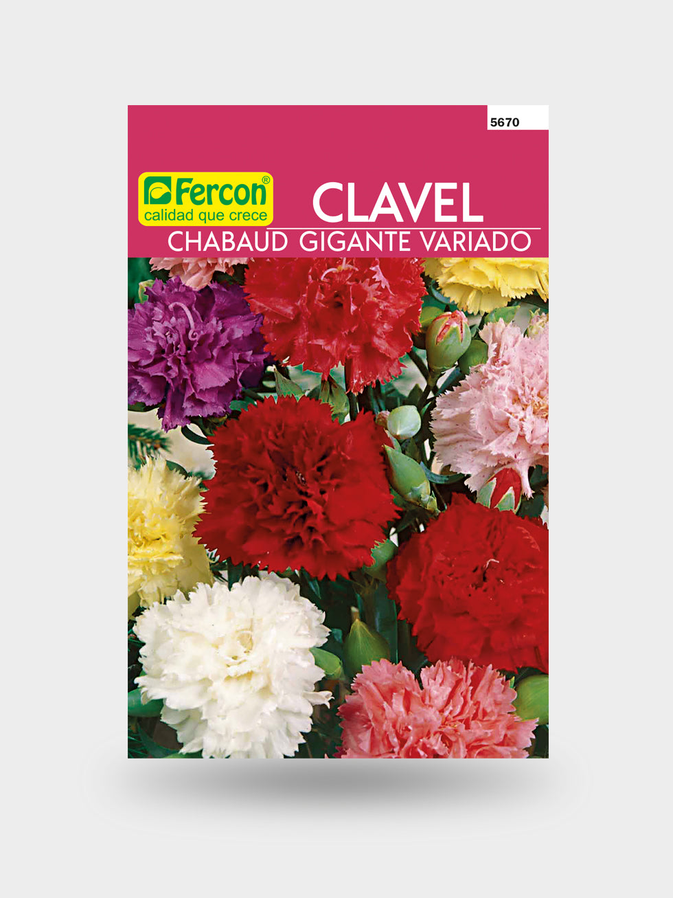 CLAVEL CHABAUD GIGANTE MIX 5670