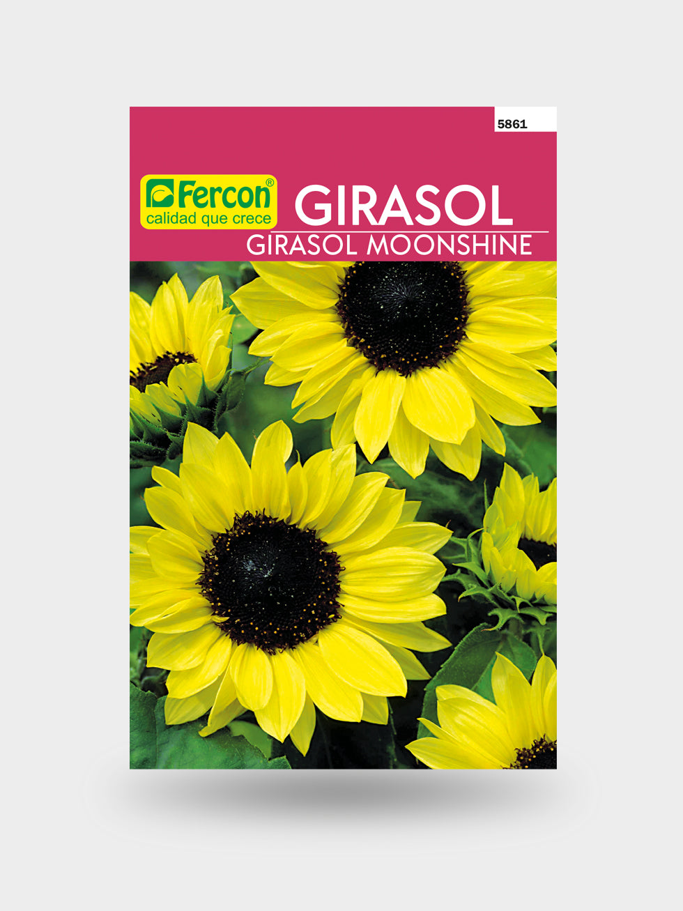 GIRASOL MOONSHINE 5861