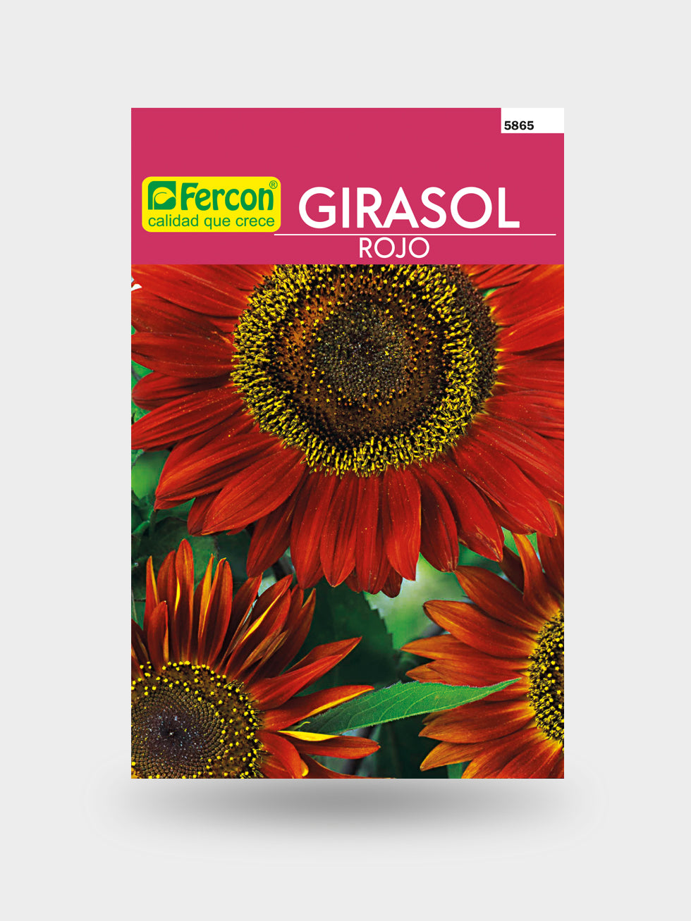 GIRASOL FLOR GIGANTE ROJA 5865