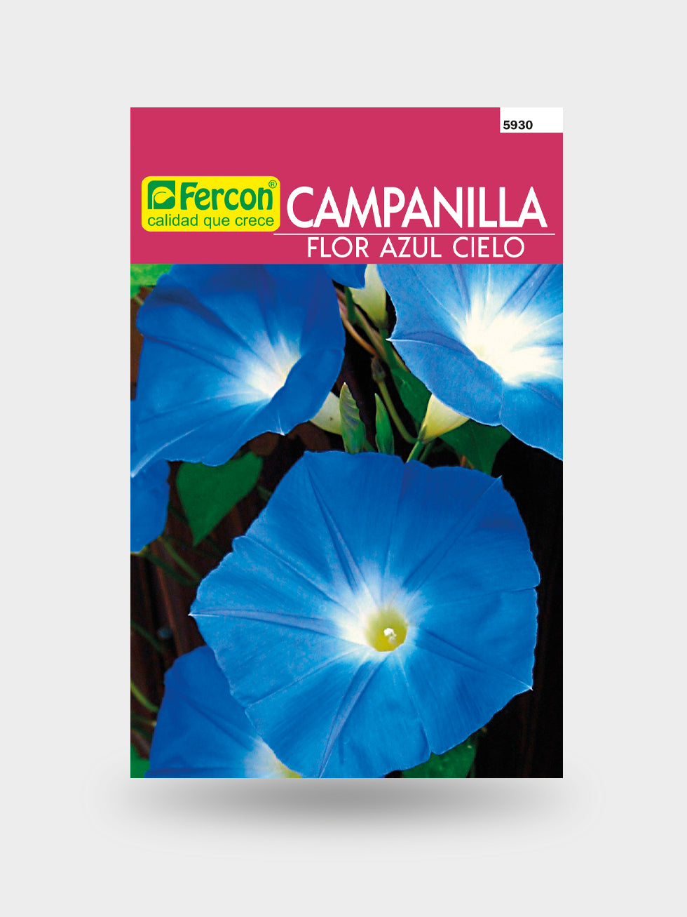CAMPANILLA  AZUL CIELO 5930