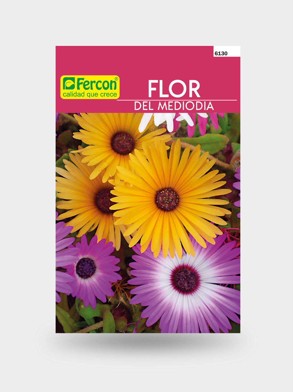 FLOR DEL MEDIODIA 6130
