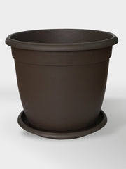 ECO MATERA GENOVA 32CM + PLATO WENGUE