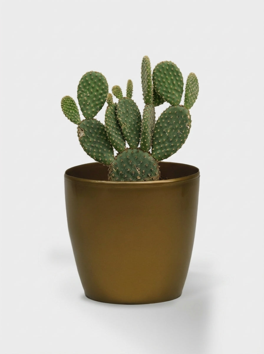 MACETA BAHIA 14 BRONZE