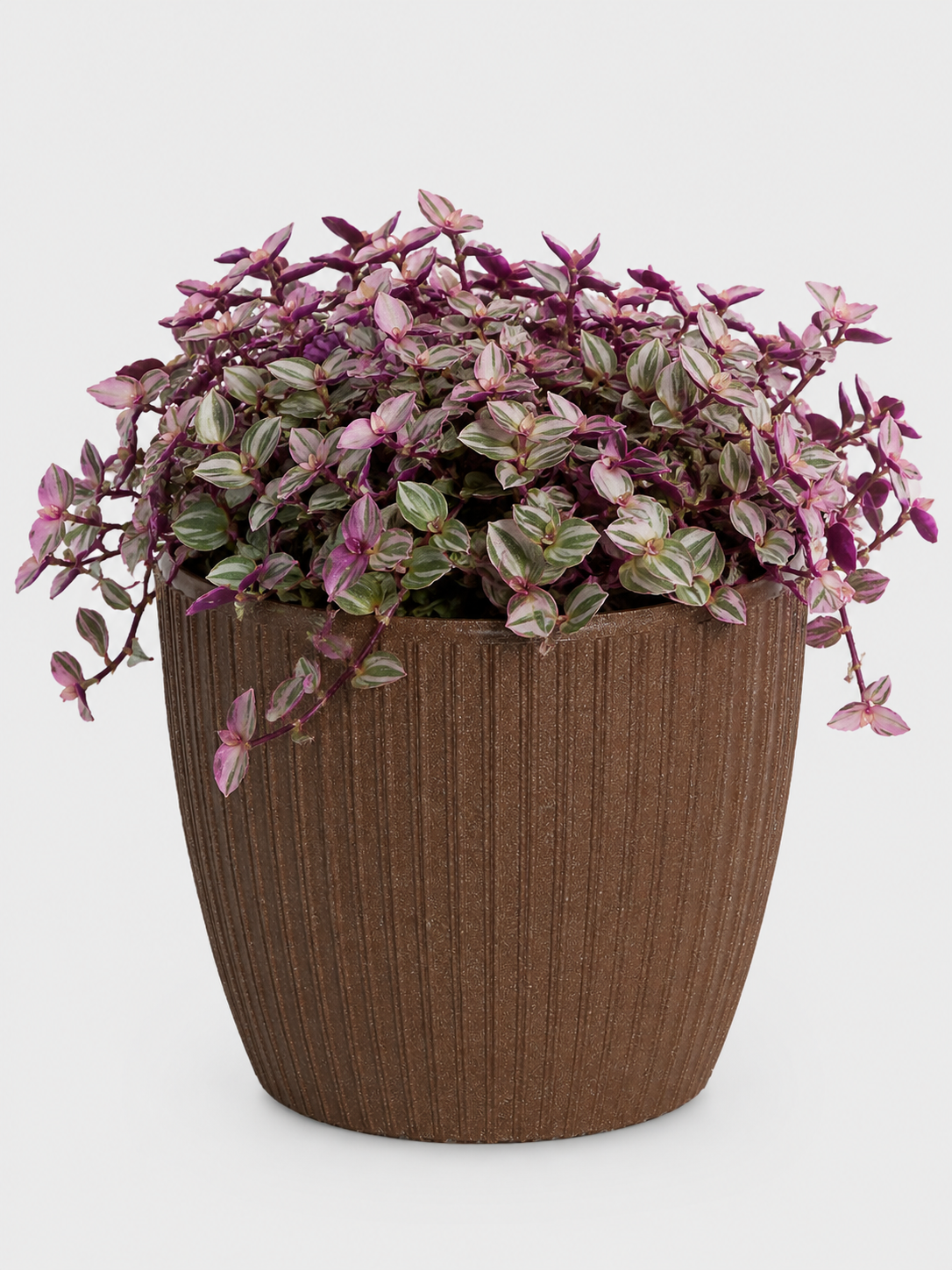 ECO MATERA TOSCANA 14CM TERRA