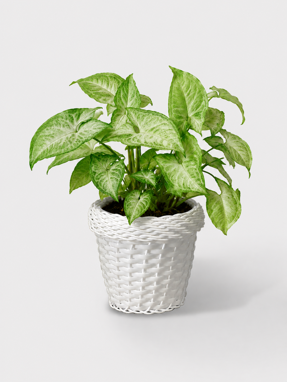 MACETA TEJIDA DAGUA 14CM BLANCO