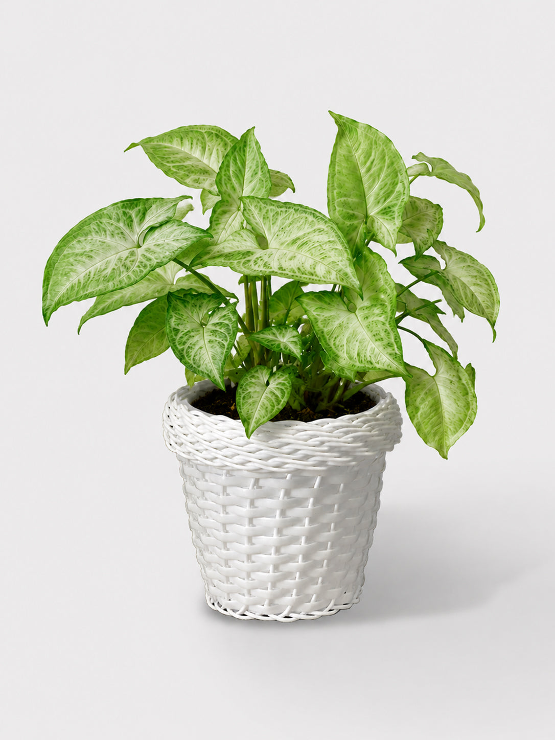 MACETA TEJIDA DAGUA 18CM BLANCO
