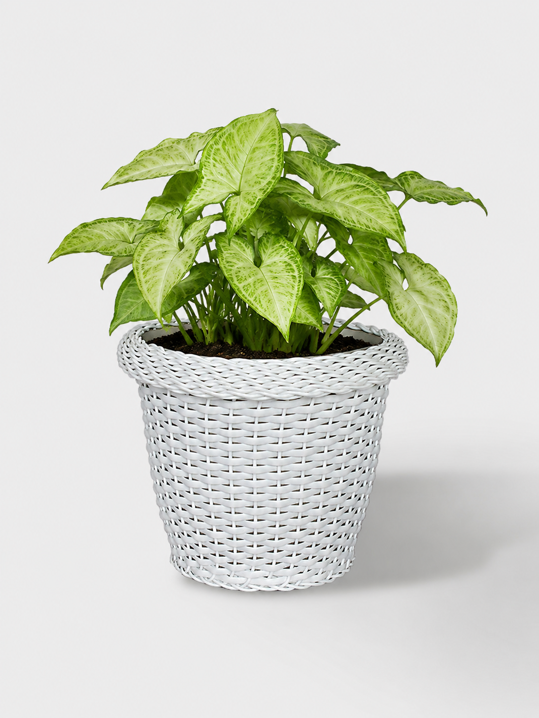 MACETA TEJIDA DAGUA 22CM BLANCO