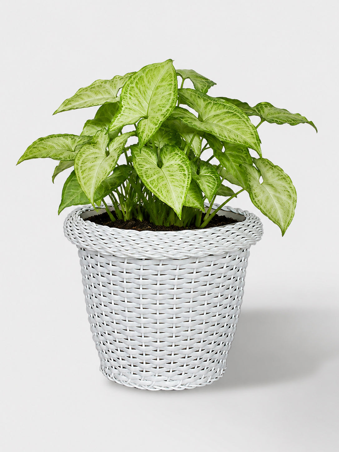 MACETA TEJIDA DAGUA 26CM BLANCO