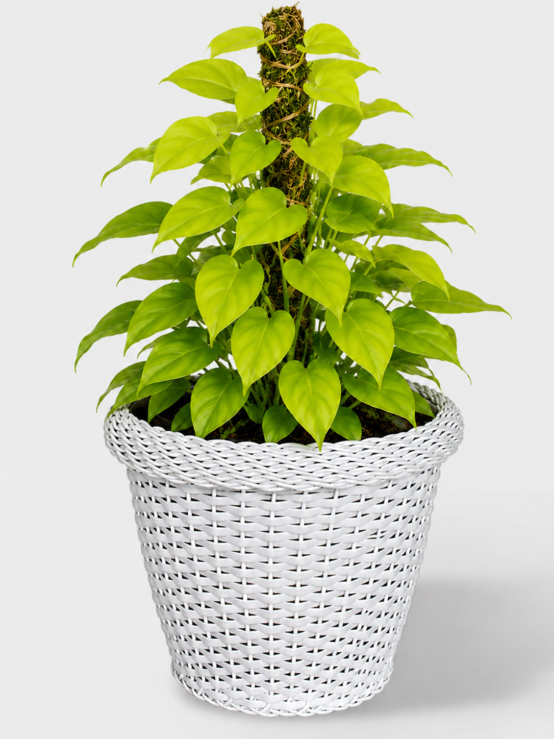 MACETA TEJIDA DAGUA 32CM BLANCO