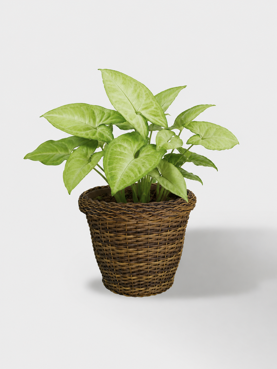 MACETA TEJIDA DAGUA 14CM CAFE