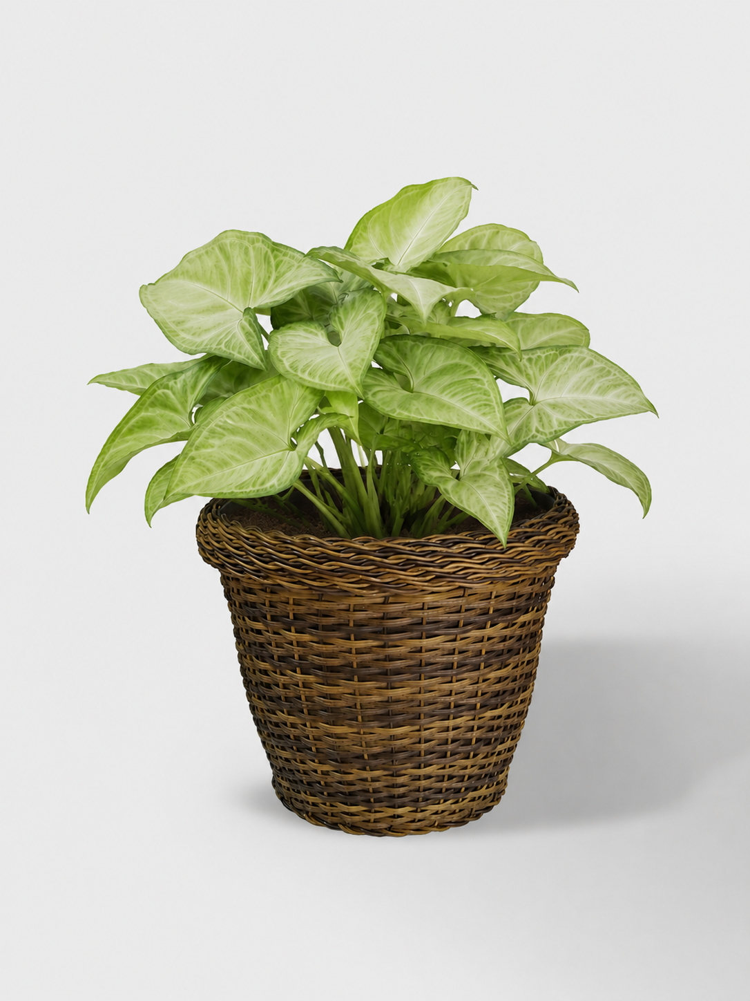MACETA TEJIDA DAGUA 18CM CAFE