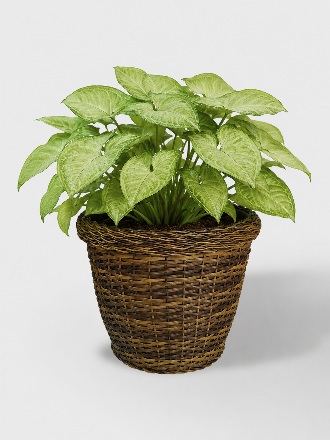 MACETA TEJIDA DAGUA 22CM CAFE