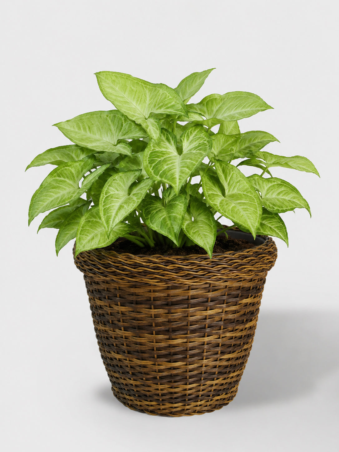 MACETA TEJIDA DAGUA 26CM CAFE