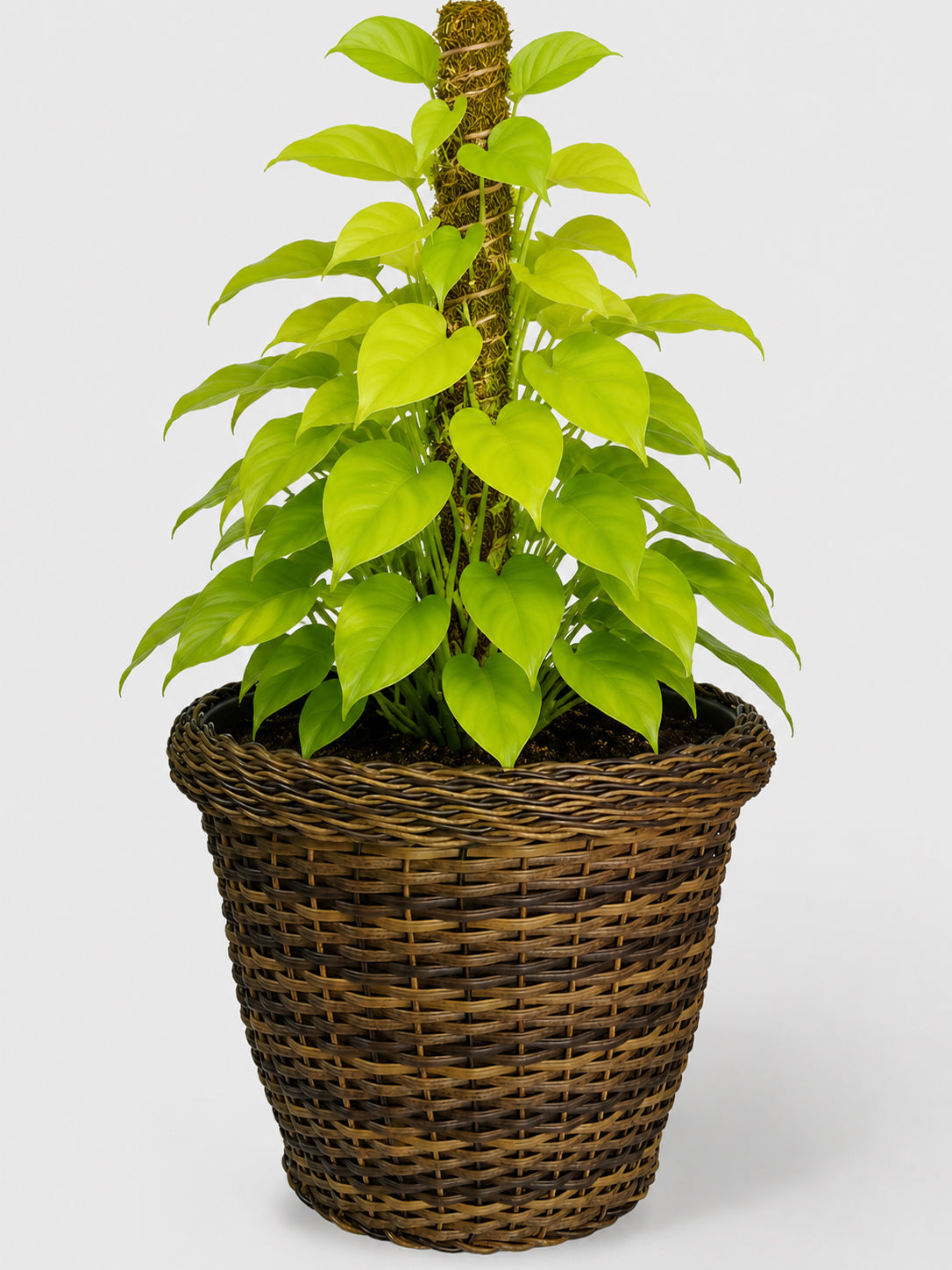 MACETA TEJIDA DAGUA 32CM CAFE
