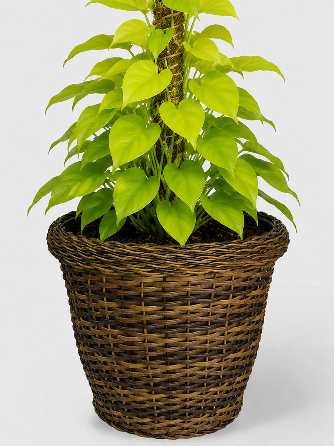 MACETA TEJIDA DAGUA 50CM CAFÉ