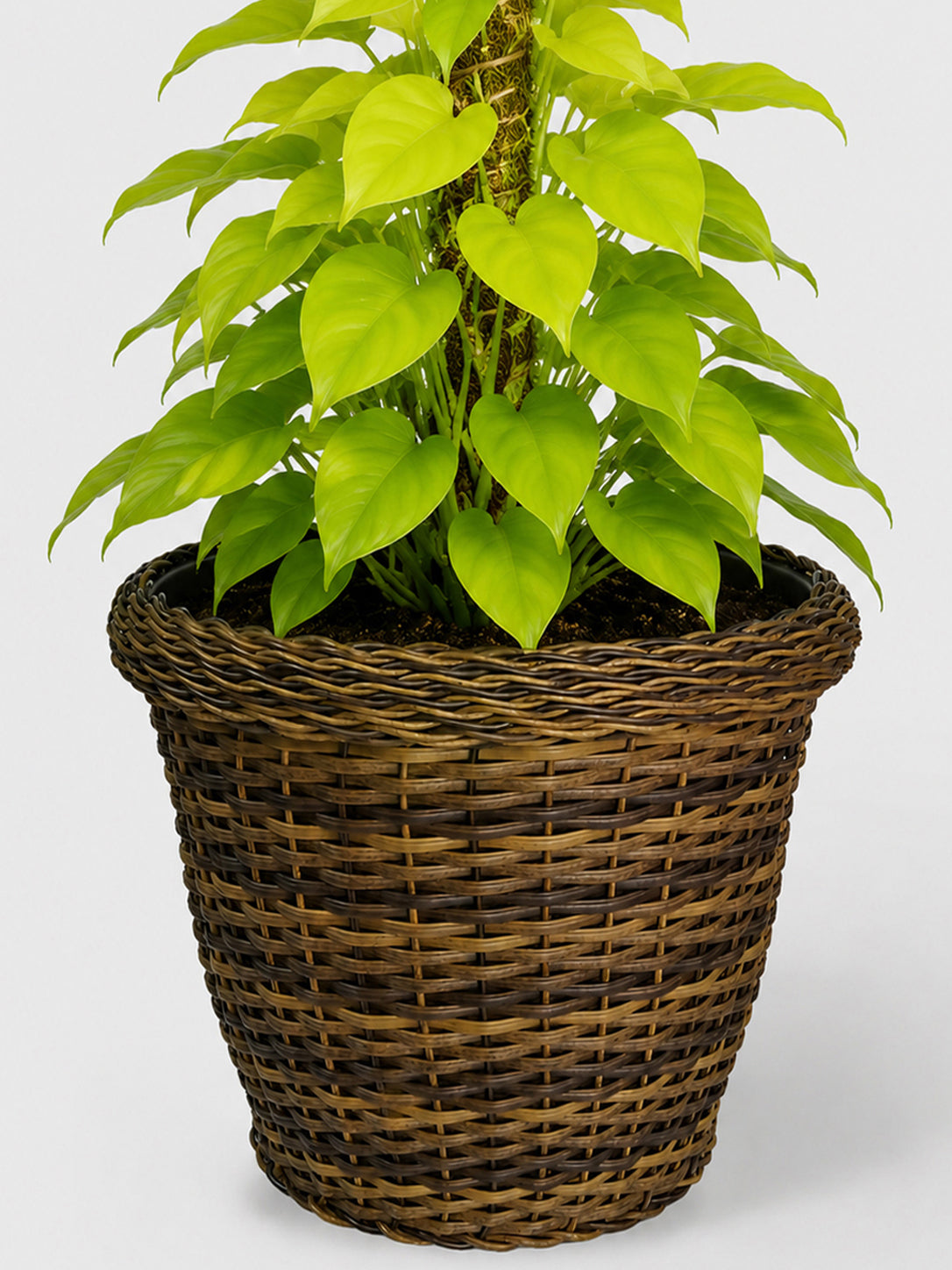 MACETA TEJIDA DAGUA 60CM CAFE
