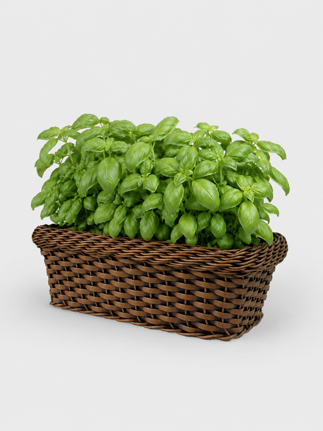 JARDINERA TEJIDA CALIMA 35CM TERRA