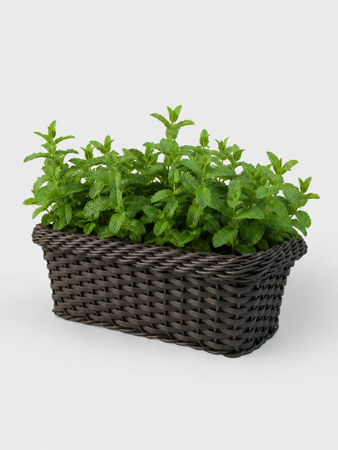 JARDINERA TEJIDA CALIMA 35CM WENGUE
