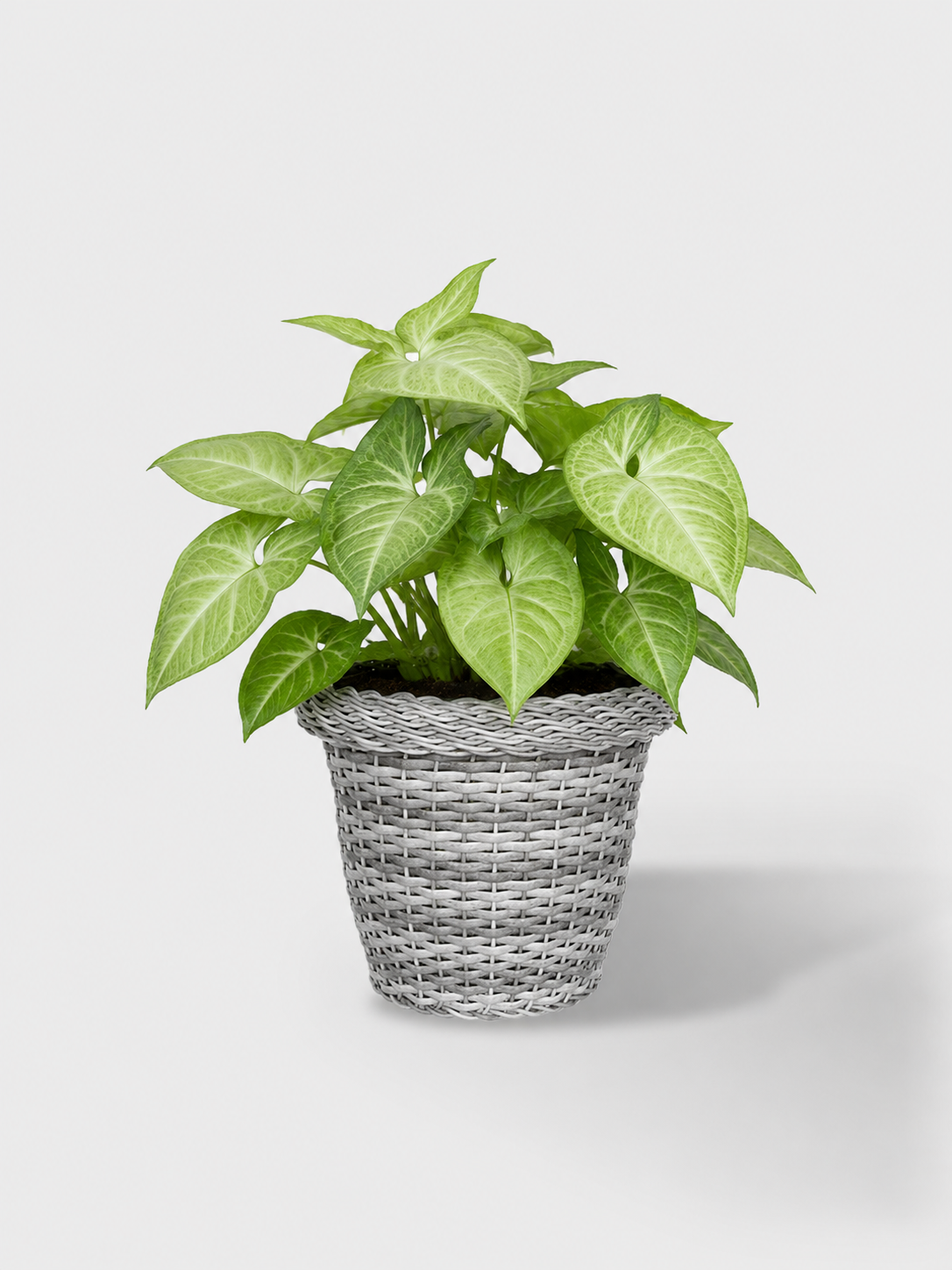 MACETA TEJIDA DAGUA 14CM GRIS CLARO