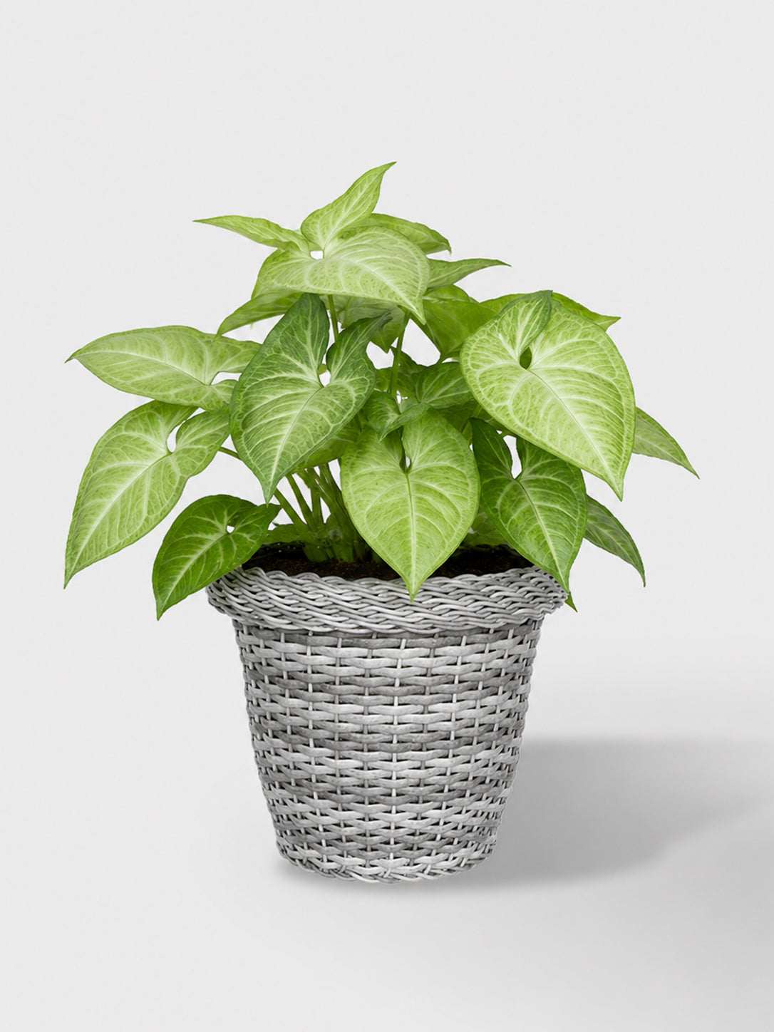 MACETA TEJIDA DAGUA 18CM GRIS CLARO
