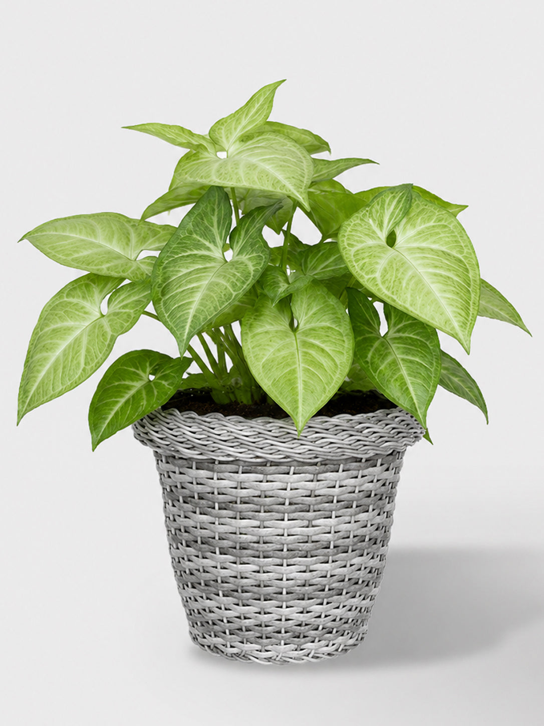 MACETA TEJIDA DAGUA 22CM GRIS CLARO