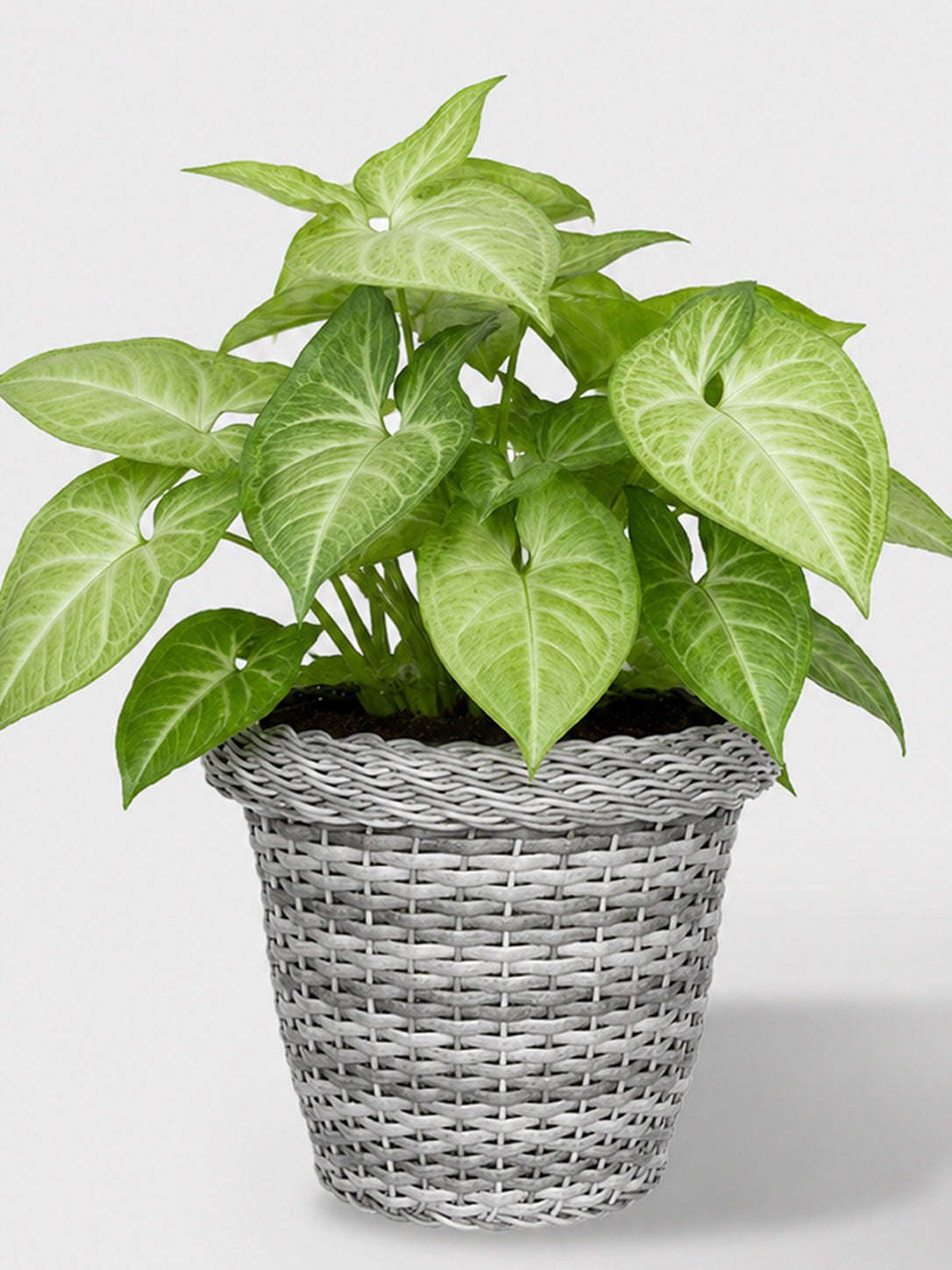 MACETA TEJIDA DAGUA 26CM GRIS CLARO