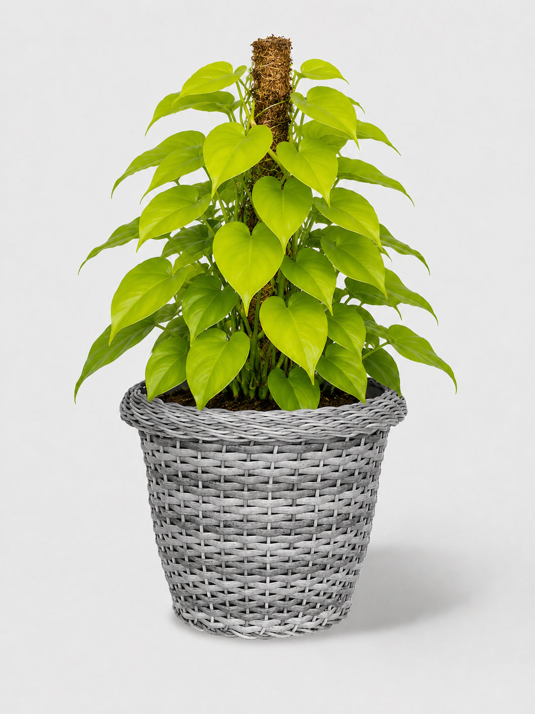 MACETA TEJIDA DAGUA 32CM GRIS CLARO