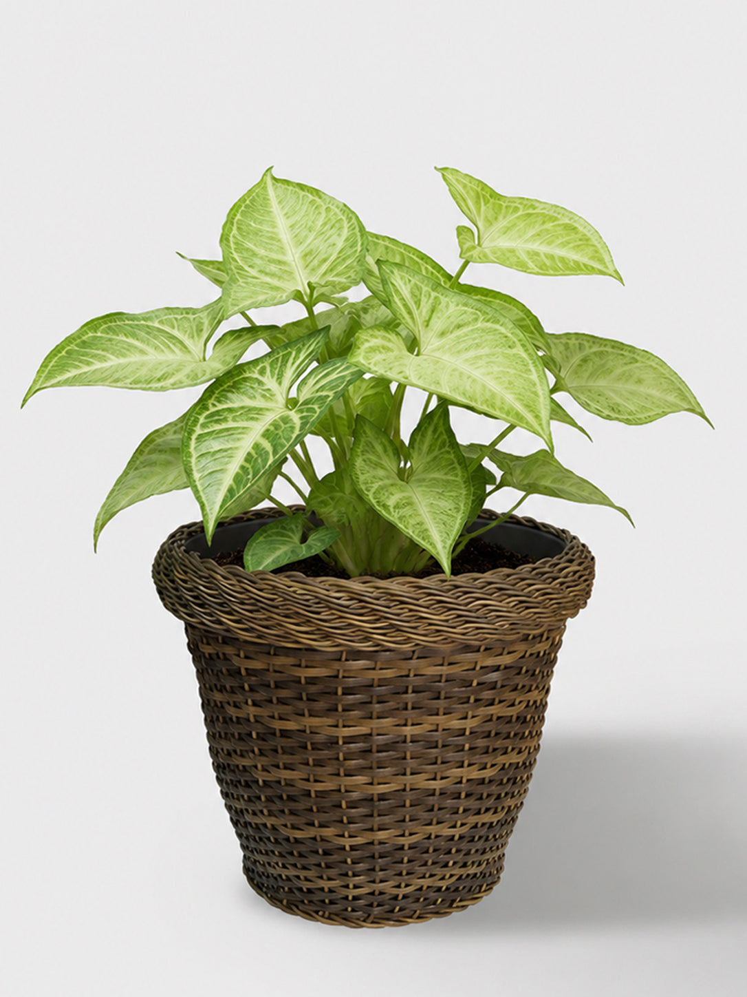 MACETA TEJIDA DAGUA 26CM NATURAL