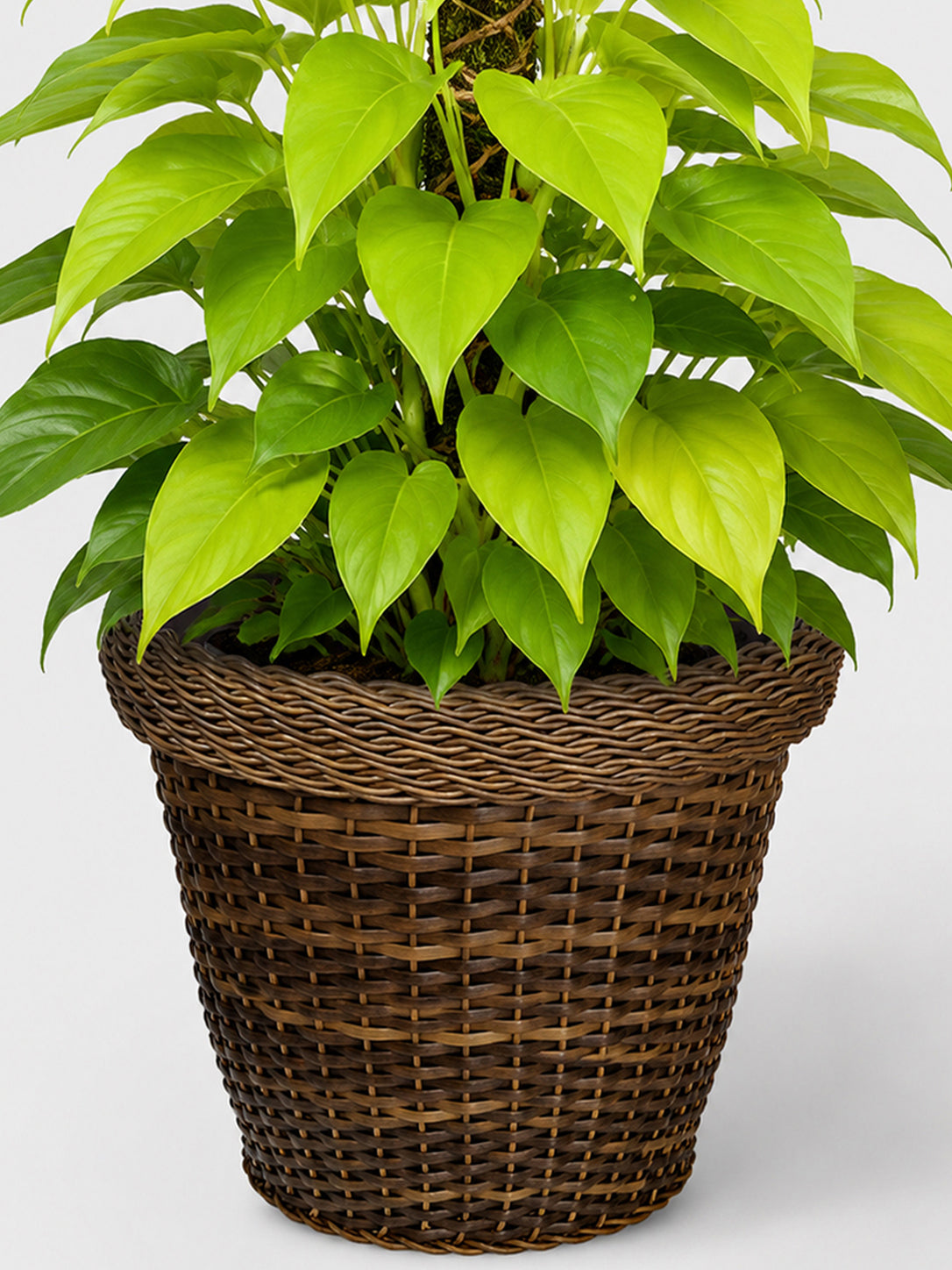 MACETA TEJIDA DAGUA 60CM NATURAL