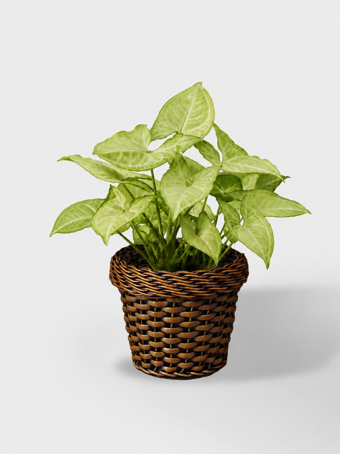 MACETA TEJIDA DAGUA 14CM TERRA