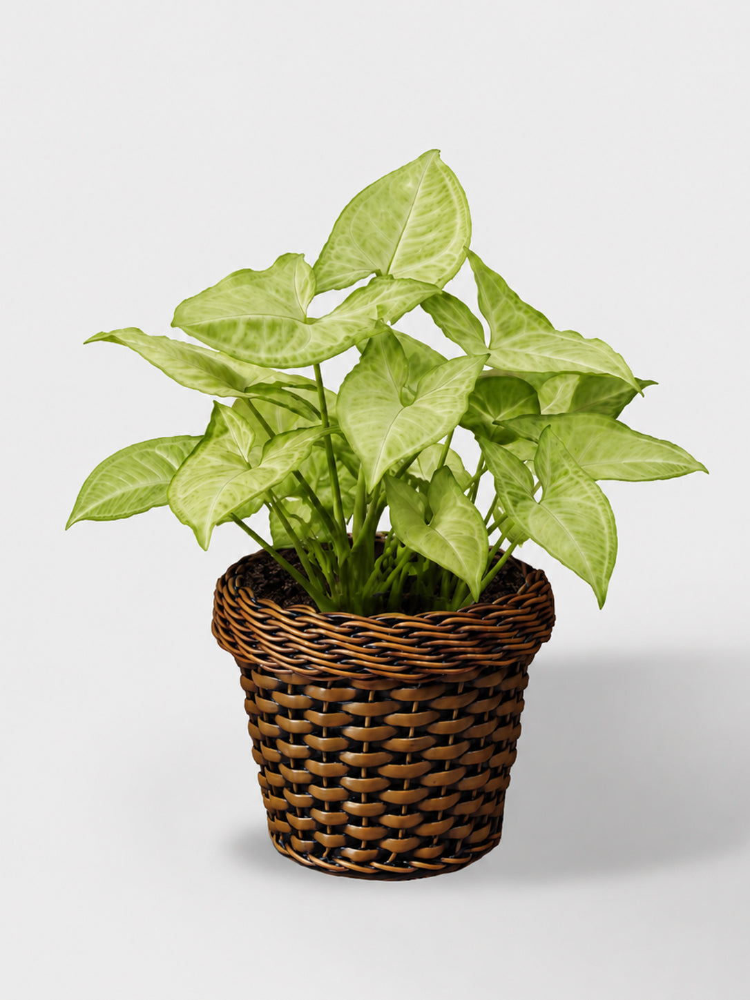 MACETA TEJIDA DAGUA 18CM TERRA