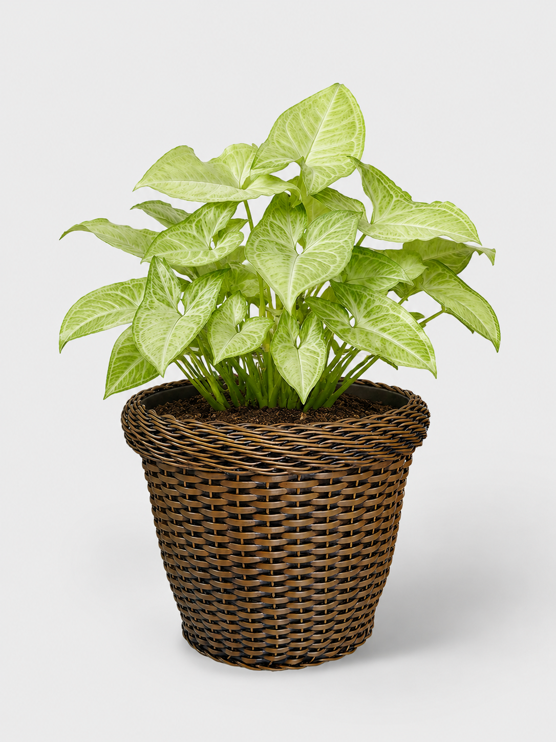 MACETA TEJIDA DAGUA 22CM TERRA