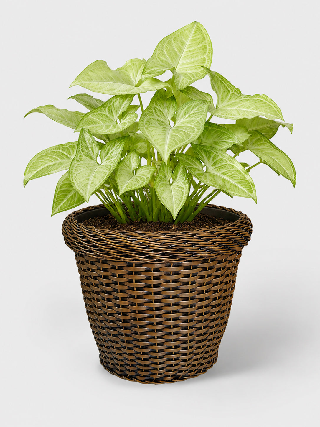 MACETA TEJIDA DAGUA 26CM TERRA