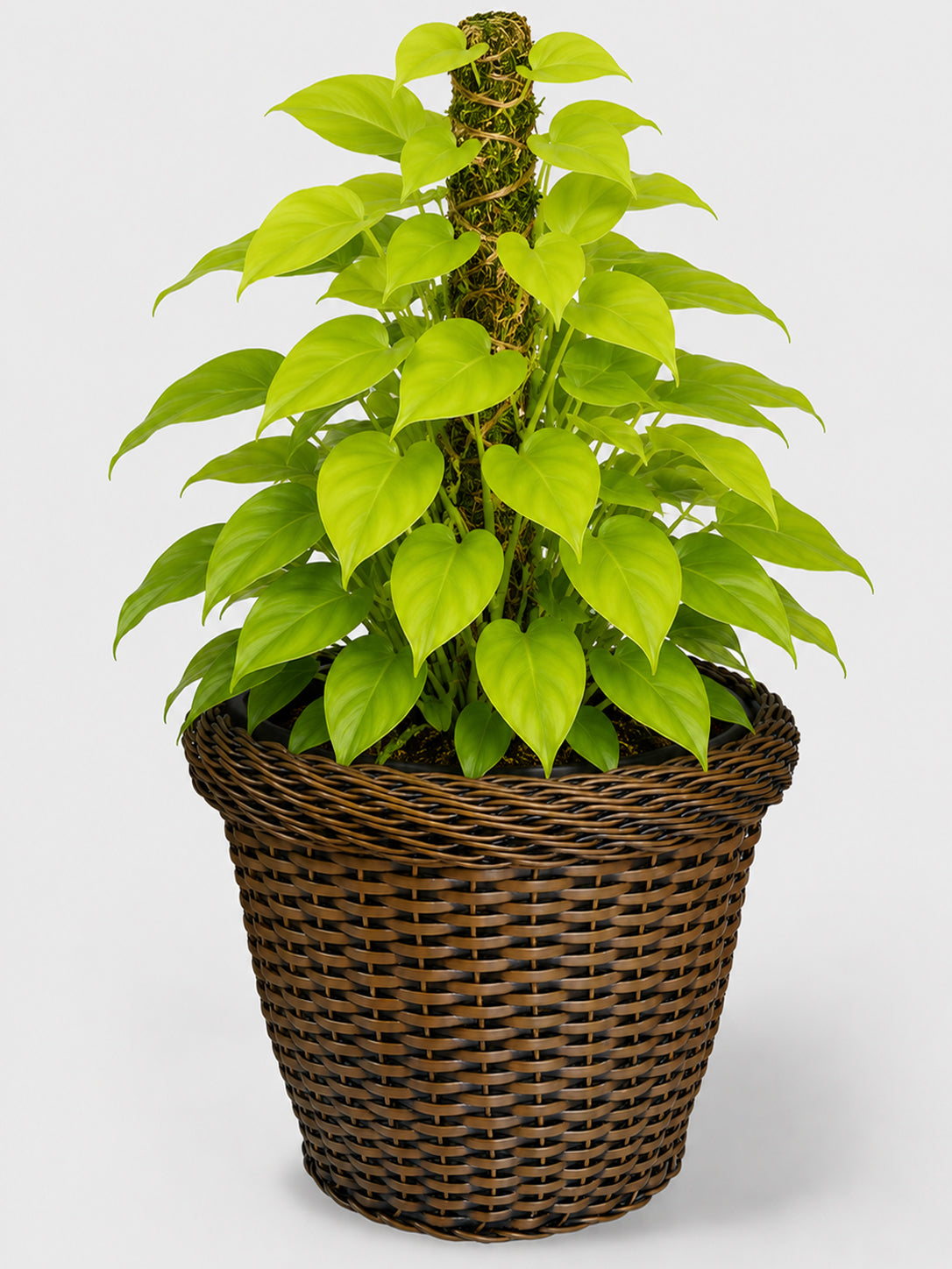 MACETA TEJIDA DAGUA 32CM TERRA