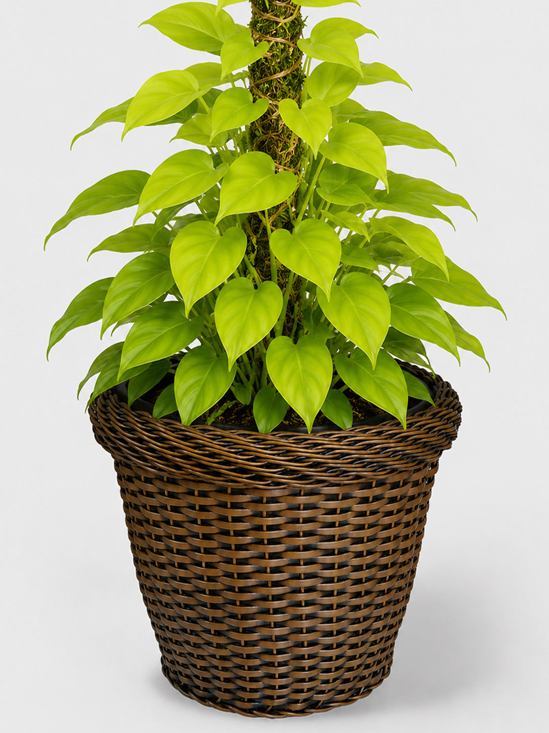 MACETA TEJIDA DAGUA 40CM TERRA