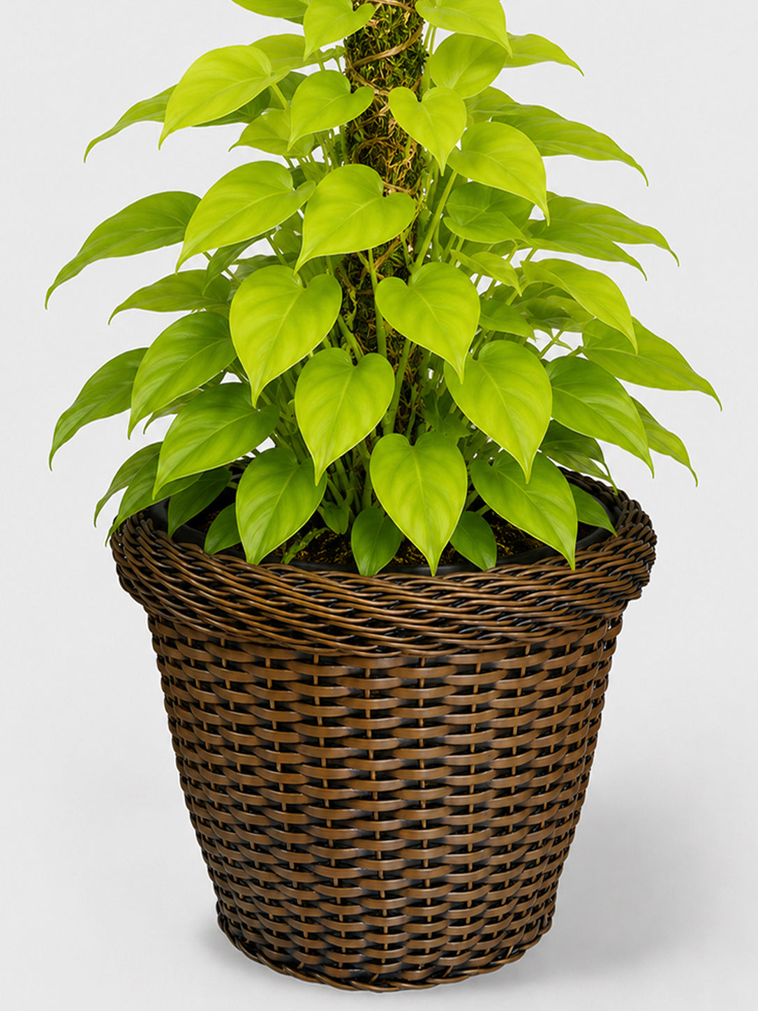MACETA TEJIDA DAGUA 50CM TERRA