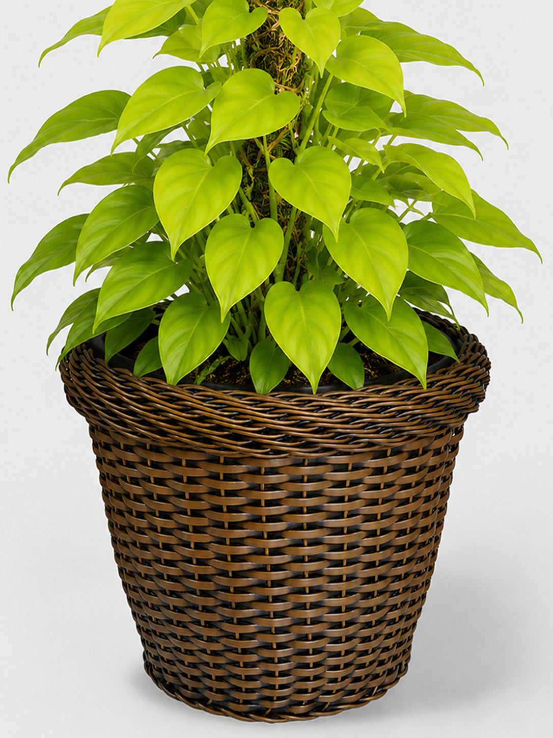 MACETA TEJIDA DAGUA 60CM TERRA