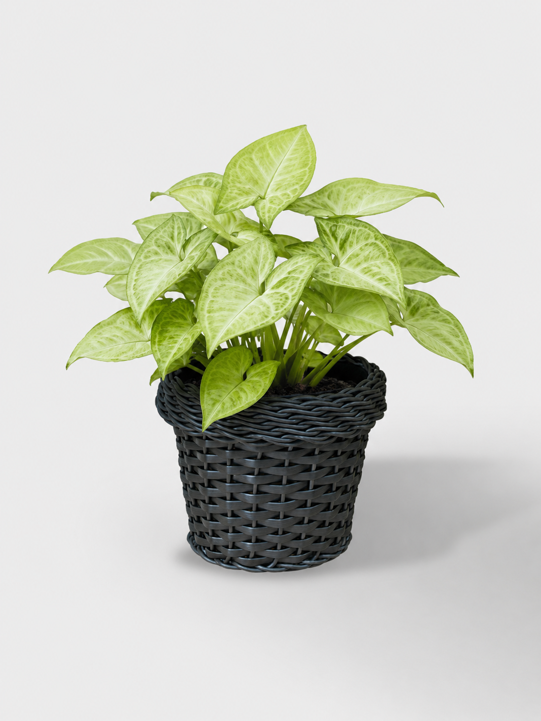 MACETA TEJIDA DAGUA 14CM WENGUE