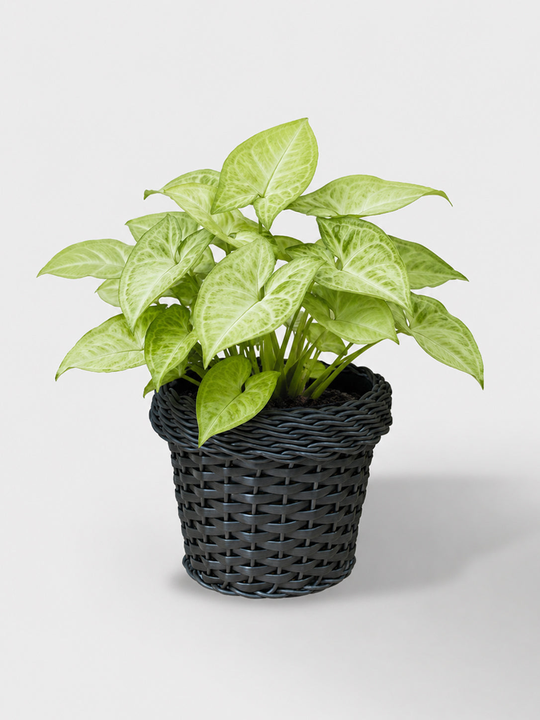 MACETA TEJIDA DAGUA 18CM WENGUE