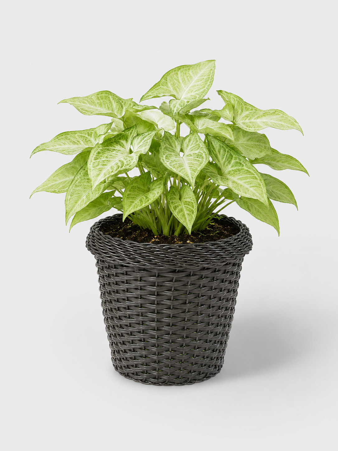 MACETA TEJIDA DAGUA 22CM WENGUE