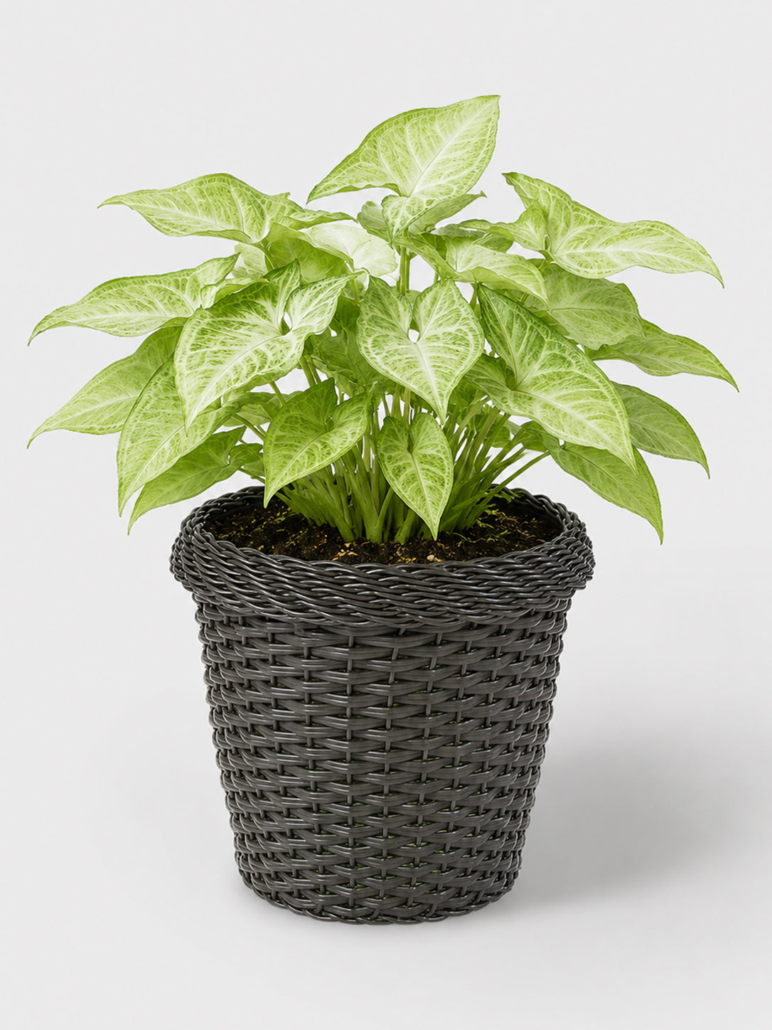 MACETA TEJIDA DAGUA 26CM WENGUE